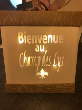 Отель Le Champ des Lys  Амансе